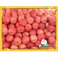 Pomme de fuji rouge fraîche à bas prix / Pomme de fuji rouge chinoise / Pomme douce rouge fraîche